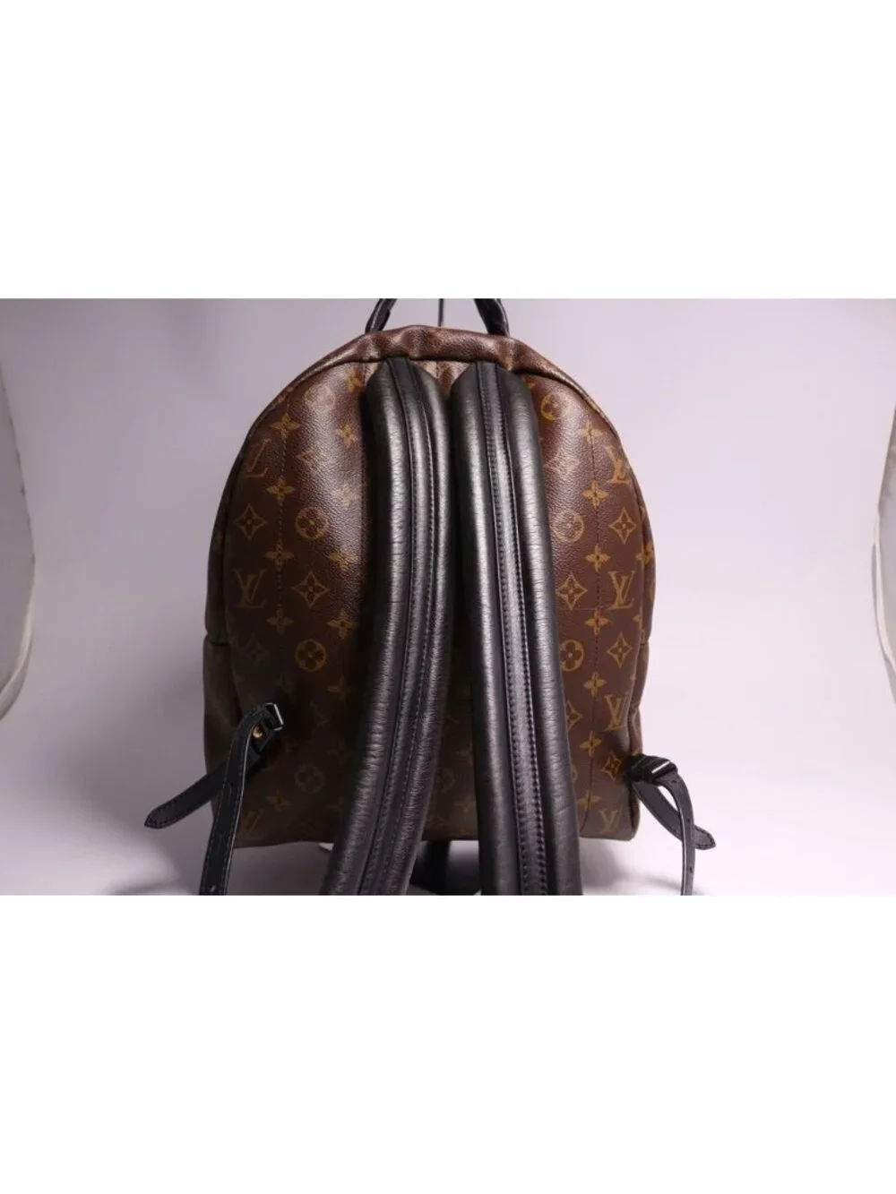 Louis Vuitton Palm Springs MM Backpack Monogram